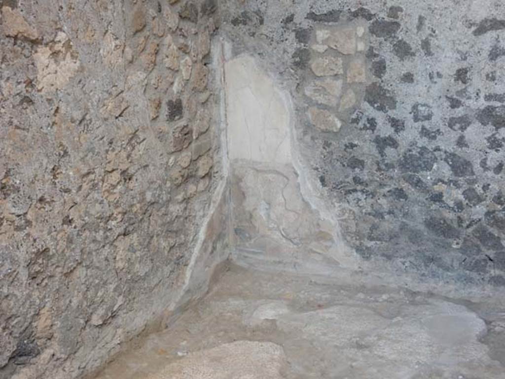VII.15.2 Pompeii. May 2018. Detail of remaining plaster in north-east corner of cubiculum.
Photo courtesy of Buzz Ferebee. 
