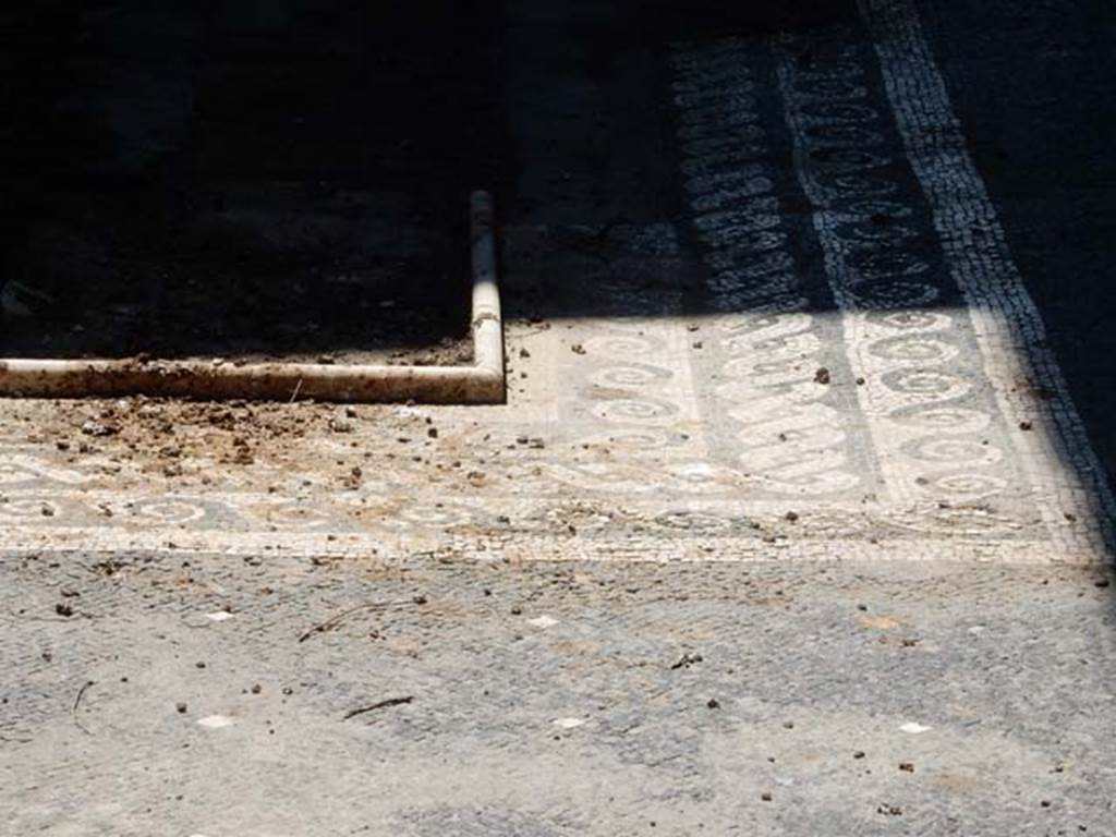 VII.16.22 Pompeii. May 2015. Detail of atrium floor and north-east corner of impluvium. Photo courtesy of Buzz Ferebee.
