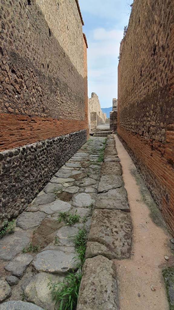 VIII.2.7 Pompeii. August 2021. 
Looking south from entrance doorway along Vicolo del Foro to rear.
Foto Annette Haug, ERC Grant 681269 DÉCOR.
