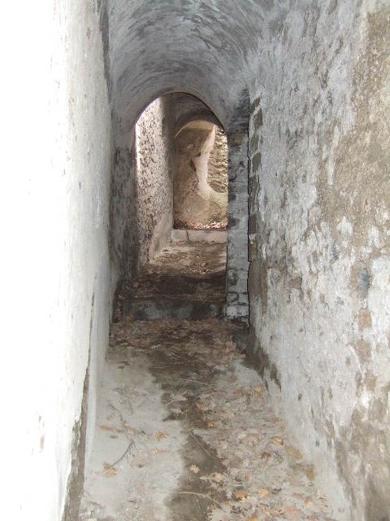 VIII.2.39 Pompeii. May 2006. Corridor  01, looking north from second lower floor, room 03.
