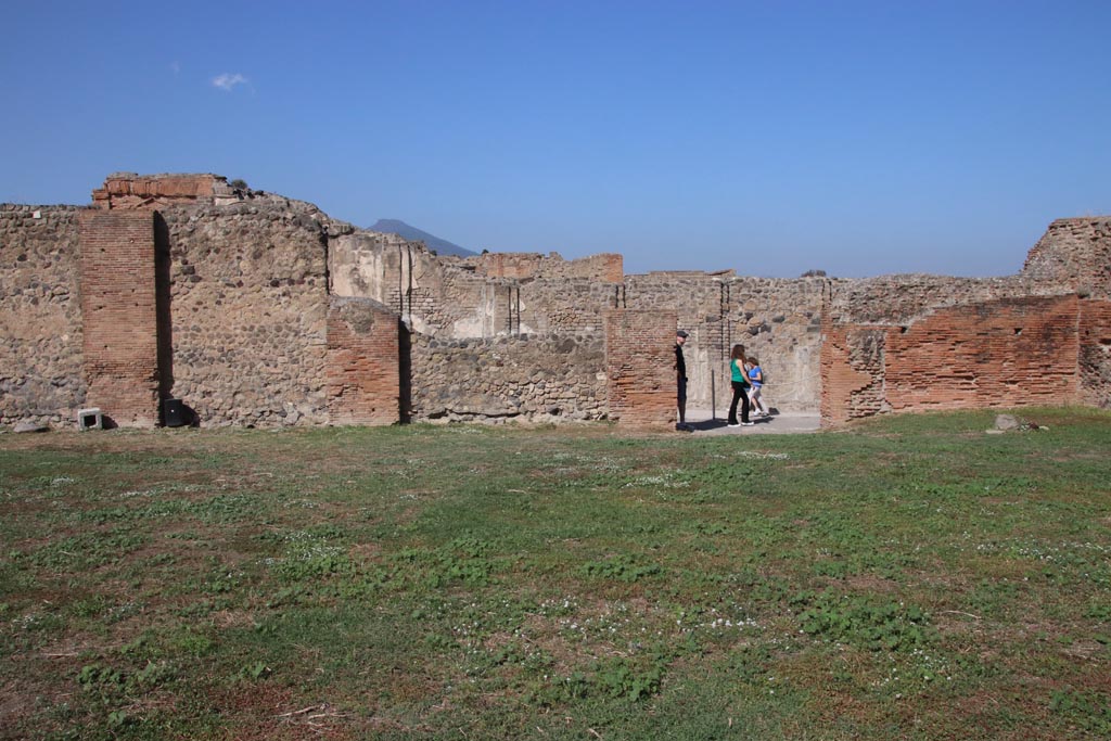 VIII.3.1 Pompeii. March 2014. North wall in north-east corner.
Foto Annette Haug, ERC Grant 681269 DÉCOR.

