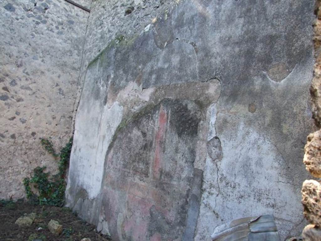 VIII.5.28 Pompeii.  March 2009. Room 12, Oecus.  West wall.