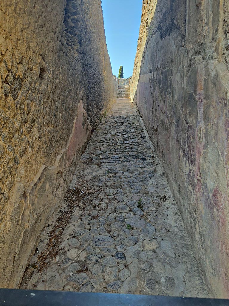 VIII.7.21 Pompeii. September 2024. 
Looking west along ramp from entrance doorway. Photo courtesy of Giuseppe Ciaramella.
