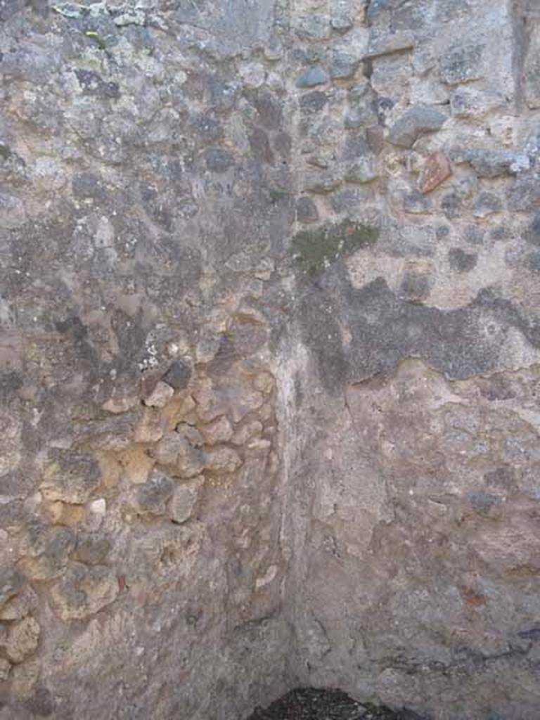 VIII.7.26 Pompeii. September 2010.  South wall and south-west corner of second room on west side of atrium. Photo courtesy of Drew Baker.
