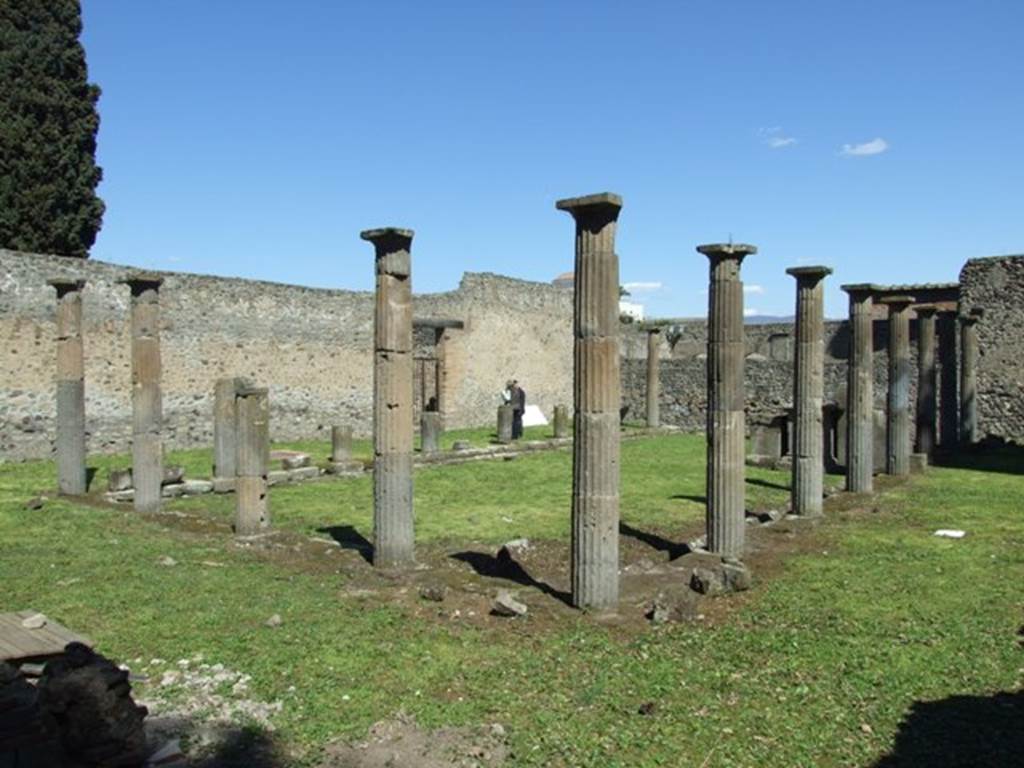 VIII.7.29 Pompeii. March 2009.  Looking north east along South side.
