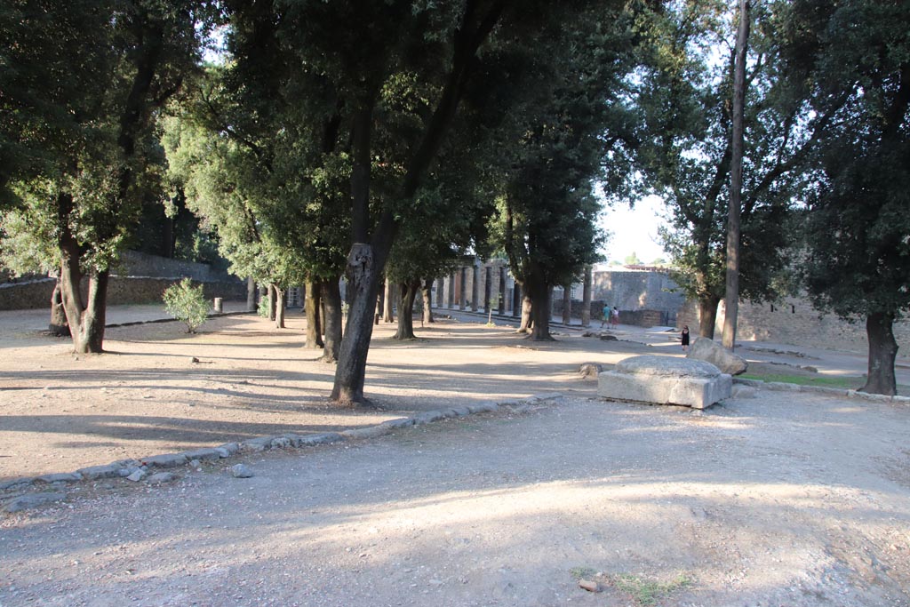 VIII.7.31 Pompeii. October 2023. Looking from Doric Temple towards Triangular Forum. Photo courtesy of Klaus Heese. 
