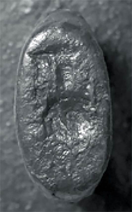IX.1.20 Pompeii. Found on 3rd March 1866. Room 10, tablinum. Handle of the seal of Italicus servant of Epidius Rufus.
This shows an amphora which seems to refer to the trade of wine, to which the Epidii family is known for tradition.
Now in Naples Archaeological Museum. Inventory number 4756.
