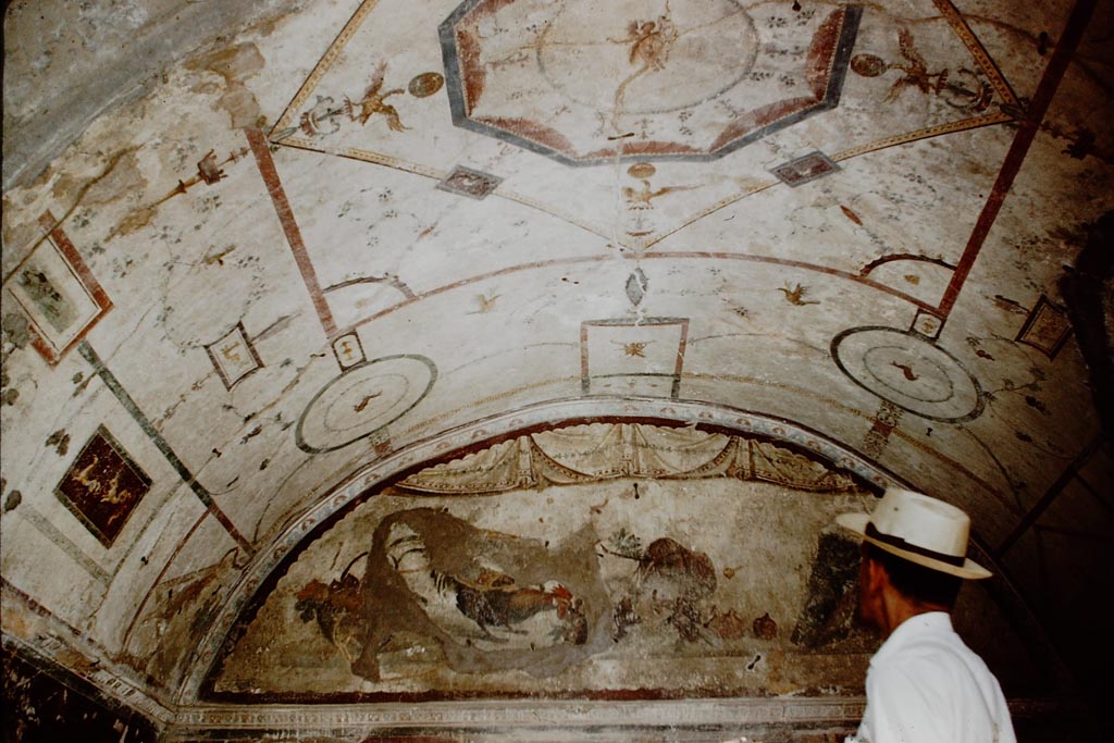 IX.2.10. Pompeii. 1959. Tablinum, painted decoration from top of east wall. Photo by Stanley A. Jashemski.
Source: The Wilhelmina and Stanley A. Jashemski archive in the University of Maryland Library, Special Collections (See collection page) and made available under the Creative Commons Attribution-Non Commercial License v.4. See Licence and use details.
J59f0367
