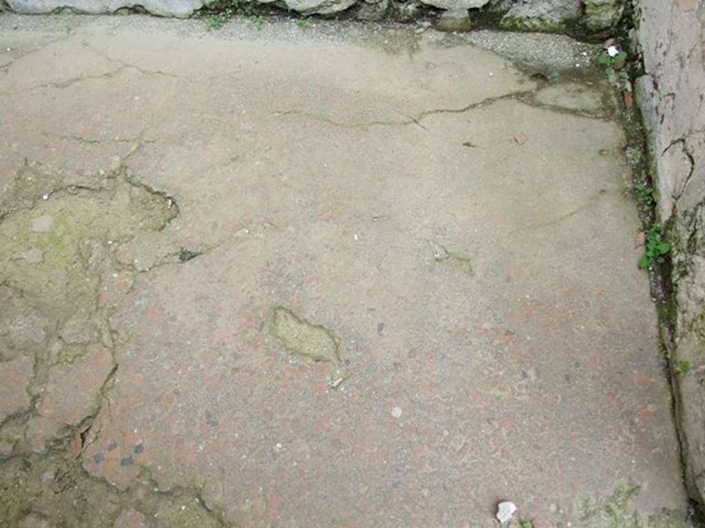 IX.3.5 Pompeii. March 2009. Room 29, remains of floor of cocciopesto.

