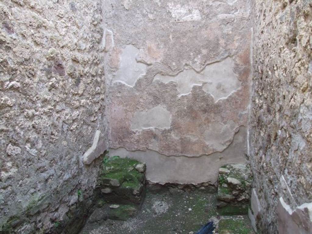 IX.3.5 Pompeii.  March 2009.  Room 8.  Latrine.  West wall.
