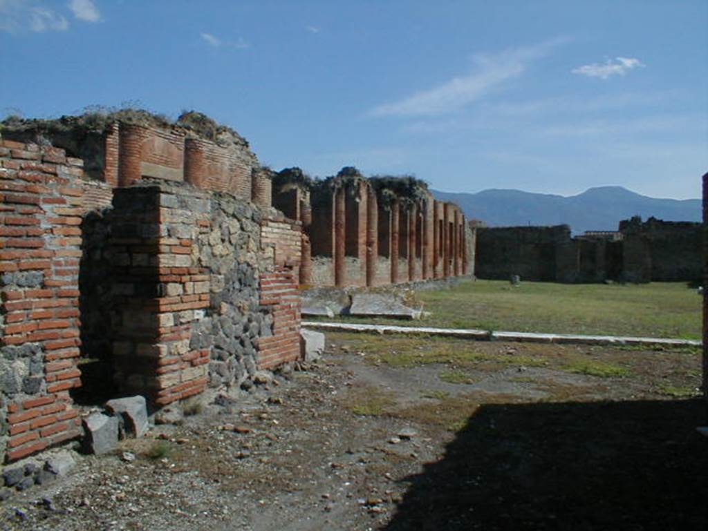 IX.4.18 Pompeii. September 2004. Looking south-east from the entrance “a”. 
On the left were two small rooms, a ticket office “b” and a room “c” where valuables could be left with a capsarius (clothes minder).
The entrance would have led directly into the palaestra “d”.
In the north-east corner of the palaestra was a doorway leading into an unfinished room “i”, probably the apodyterium (changing room).
However Mau believed that the room, together with the other smaller rooms “k”, “l”, “m”, “n” and “o” around it, would have been used as shops to sell things for the convenience of the bathers and users of the baths.
The frigidarium “p” (cold) was to the south of the unfinished room, whether it was used as a changing room or shops. 
It was a large rectangular room with a basin for cold baths along the east side, opposite the three windows. This cold bath was nearly five feet deep. 
According to La Rocca, De Vos and De Vos “p” was the apodyterium and there was no frigidarium.
The frigidarium or apodyterium led into the tepidarium “q” (warm), which also had three large windows all opening out onto the palaestra “d”.
The tepidarium led into the caldarium “s” (hot), which was placed so that its three large windows would have received the greatest amount of warm afternoon and evening sun.
There were five smaller windows built into the south wall of the caldarium. These looked out onto a small garden area “t”.
On the east side of the tepidarium and caldarium was the small round laconicum or sweating room “r”, made to feel larger by four semicircular niches, and lit by three small round windows high up above the cornice of the vaulted ceiling. 
The vaulted ceiling was partly conserved, whereas the ceilings of the warm and hot rooms were totally collapsed.
None of these rooms were finished, although the hollow floors and walls had been built into the warm, hot and sweating rooms.
No marble had been laid into the bath pools.
The two furnaces had not yet been built. These would have been built in the area “t” by the entrance at IX.4.15.
See Notizie degli Scavi di Antichità, June 1877, (p.445, description and finds).
See BdI 1877, (p.214-223)
See BdI, 1878, (p251- 254) 
See La Rocca, De Vos and De Vos, 1976. Guida Archeologica di Pompei. Mondadori Editore, p. 307-9.
According to Jashemski, the five small windows of the caldarium looked out onto a small garden “t”.
The garden would have had a wall enclosing it, to hide from view the men walking back and forth tending the furnaces.
The wall was only partially completed.
See Jashemski, W. F., 1993. The Gardens of Pompeii, Volume II: Appendices. New York: Caratzas, p. 235).
