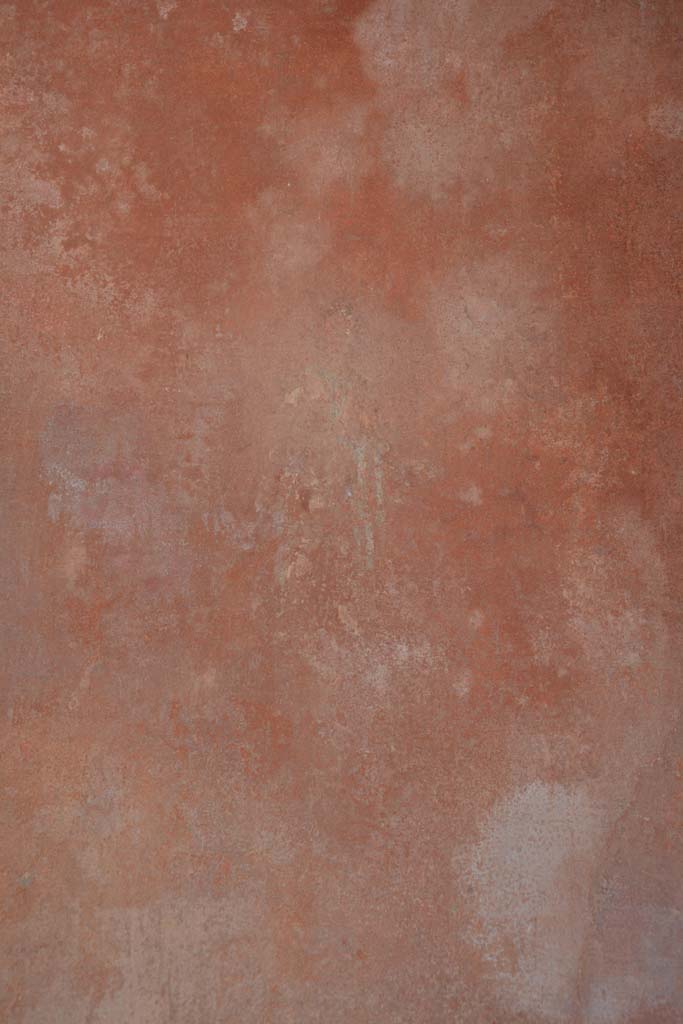 IX.5.6 Pompeii. May 2017. 
Room i, detail of figure from centre of panel on south wall on west side.
Foto Christian Beck, ERC Grant 681269 DCOR.

