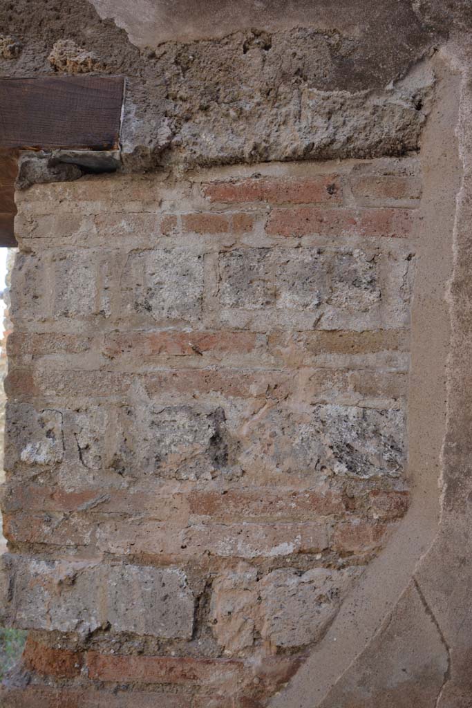 IX.5.6 Pompeii. May 2017. 
Room p, west wall on north side of doorway in north-west corner.
Foto Christian Beck, ERC Grant 681269 DCOR.
