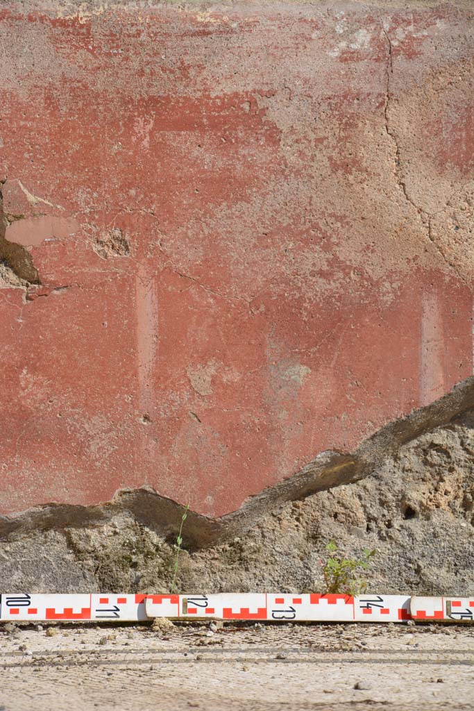 IX.5.6 Pompeii. May 2017. East ala e, detail of zoccolo in centre of south wall. 
Foto Christian Beck, ERC Grant 681269 DCOR.
