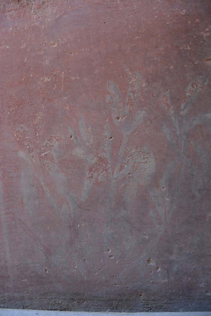 IX.5.6 Pompeii. May 2017. 
Room k, (east side), detail of painted plant from zoccolo of north wall. 
Foto Christian Beck, ERC Grant 681269 DCOR.
