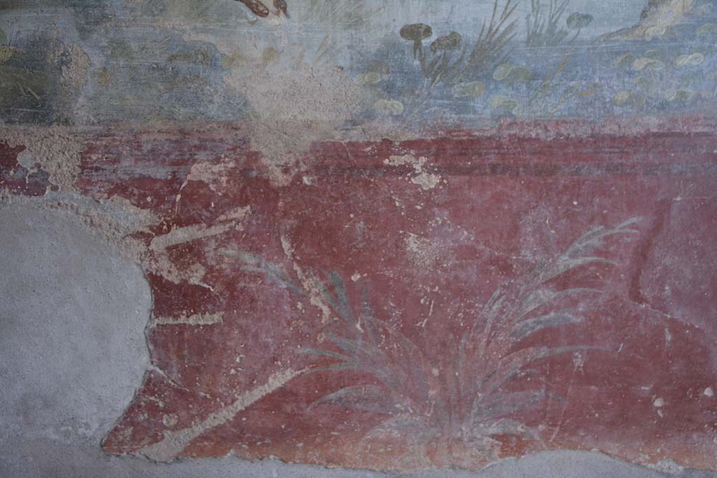 IX.5.9 Pompeii. March 2017. Room l (L), zoccolo on lower north wall towards centre.  
Foto Christian Beck, ERC Grant 681269 DCOR.
