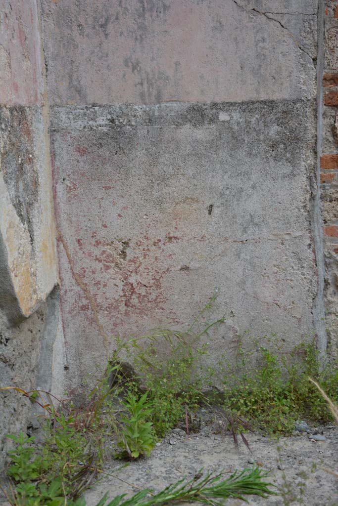 IX.5.11 Pompeii. May 2017. 
Room b, lower east wall in north-east corner, detail from zoccolo.
Foto Christian Beck, ERC Grant 681269 DÉCOR.
