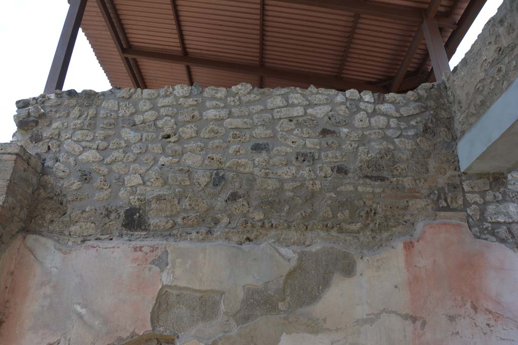 IX.5.11 Pompeii. May 2017. Room l (L), upper west wall of tablinum.
Foto Christian Beck, ERC Grant 681269 DÉCOR.

