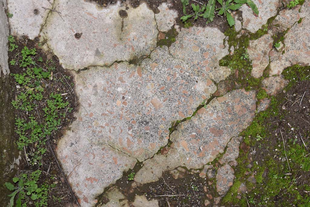 IX.5.18 Pompeii. March 2018.  Room “s”, detail of flooring from north-east corner.
Foto Annette Haug, ERC Grant 681269 DÉCOR.
