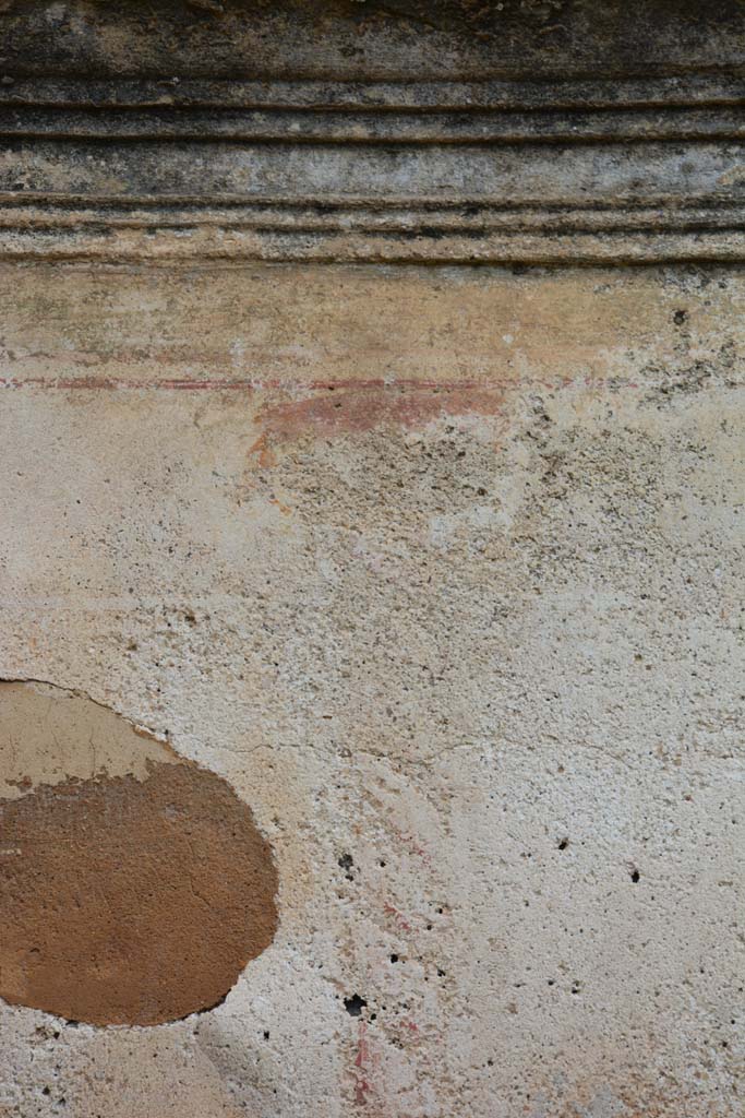 IX.5.18 Pompeii. March 2017. 
Room p, upper north wall, detail of stucco cornice and top of painted candelabra.
Foto Christian Beck, ERC Grant 681269 DÉCOR.
