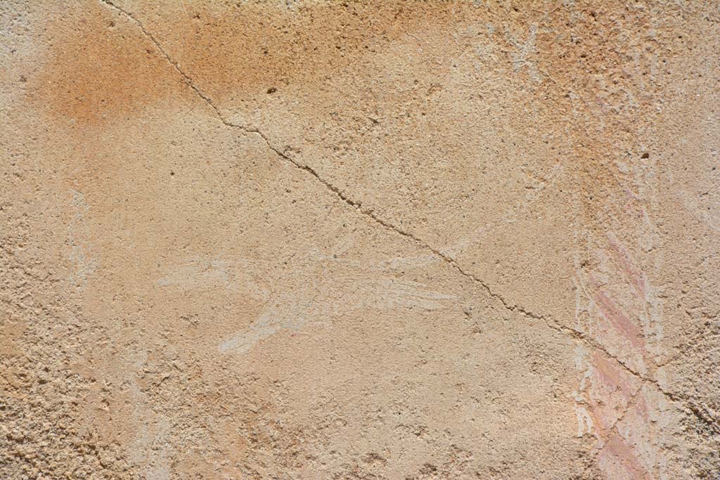 IX.5.18 Pompeii. May 2017. Room p, north wall with detail of painted candelabra, with remains of a painted bird on west side.
Foto Christian Beck, ERC Grant 681269 DÉCOR.

