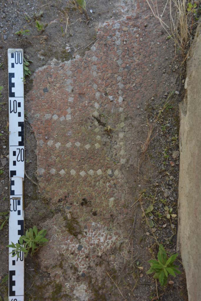 IX.5.18 Pompeii. May 2017. Room p, detail of flooring.
Foto Christian Beck, ERC Grant 681269 DÉCOR.
