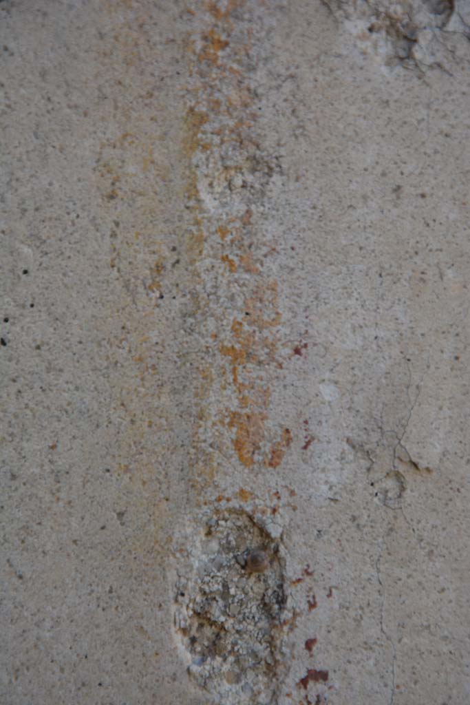 IX.5.18 Pompeii. May 2017. 
Room l (L), detail of painted decoration on panel on north wall at west end. 
Foto Christian Beck, ERC Grant 681269 DÉCOR.

