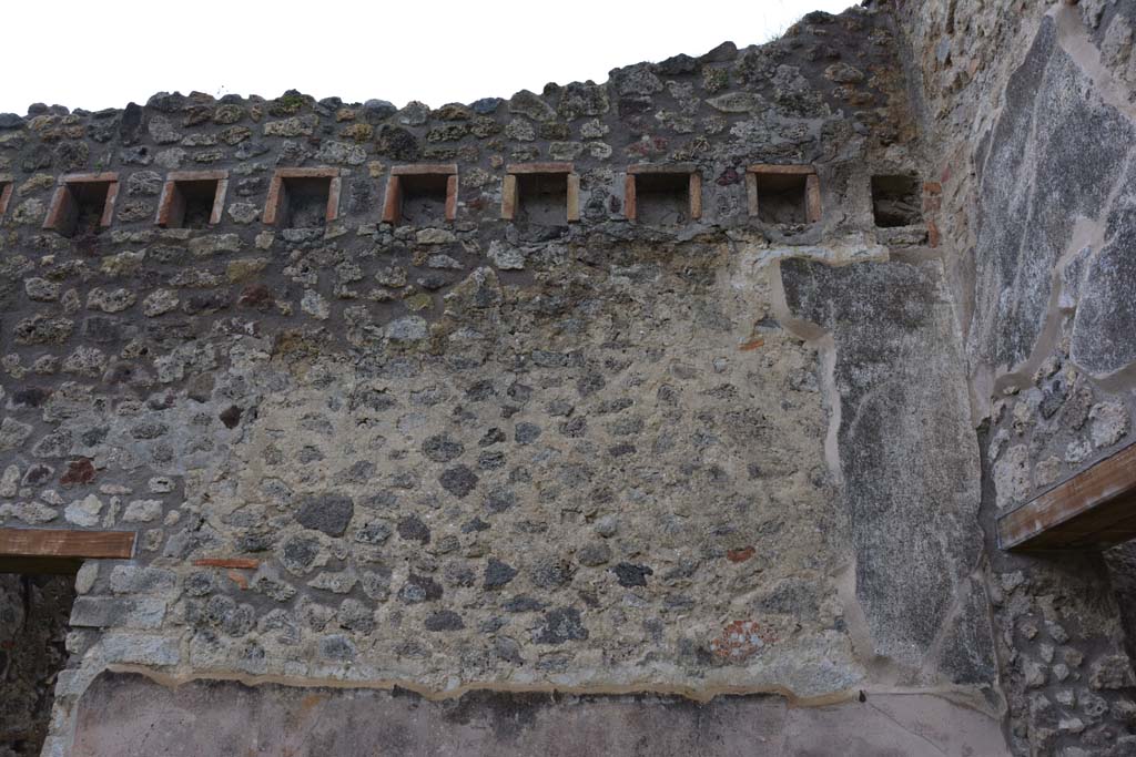 IX.5.18 Pompeii. March 2018. Detail from upper south wall in south-west corner of atrium/courtyard garden.    
Foto Annette Haug, ERC Grant 681269 DÉCOR.

