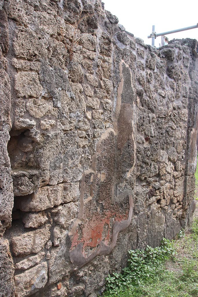 IX.7.25 Pompeii. October 2024. 
East wall of entrance corridor/fauces. Photo courtesy of Klaus Heese.

