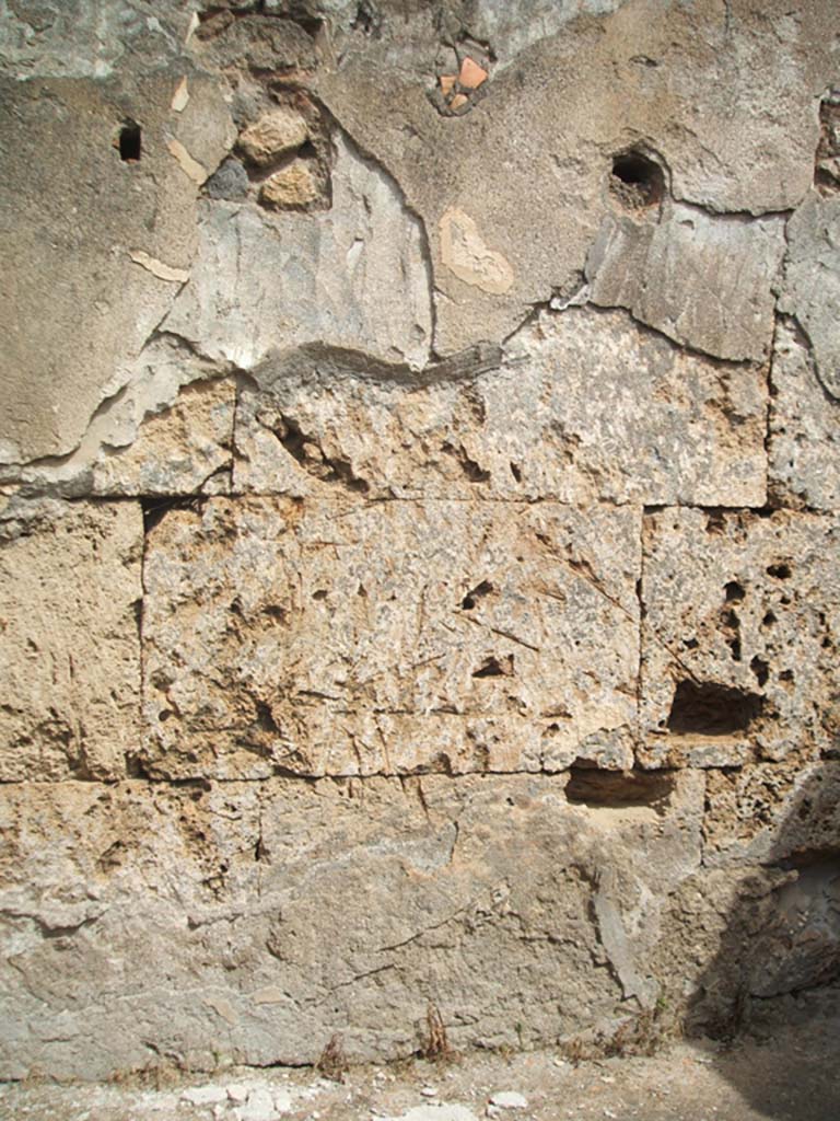 IX.7.25 Pompeii. May 2005. North wall of cubiculum “b”, on east side of entrance corridor.