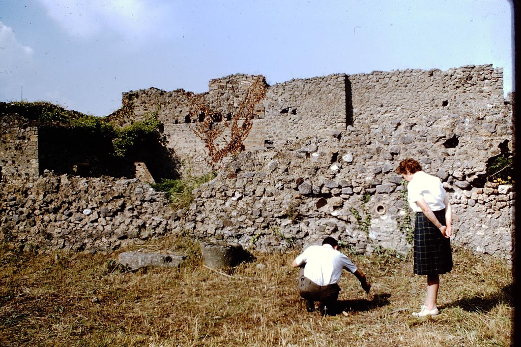 IX.9.6 Pompeii, 1978. Looking south into garden at IX.9.10. Photo by Stanley A. Jashemski.   
Source: The Wilhelmina and Stanley A. Jashemski archive in the University of Maryland Library, Special Collections (See collection page) and made available under the Creative Commons Attribution-Non Commercial License v.4. See Licence and use details. J78f0276
