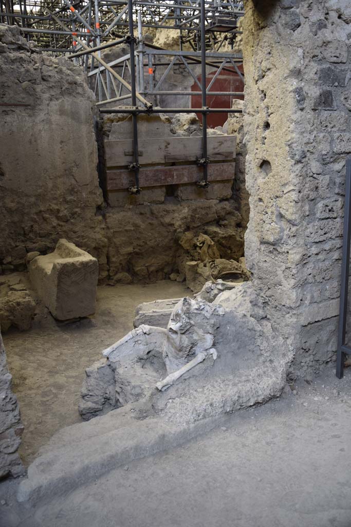 IX.12.8 Pompeii. February 2017. 
Skeleton of a mule or donkey, lying in the doorway of the stable “n”. Photo courtesy of Johannes Eber.
