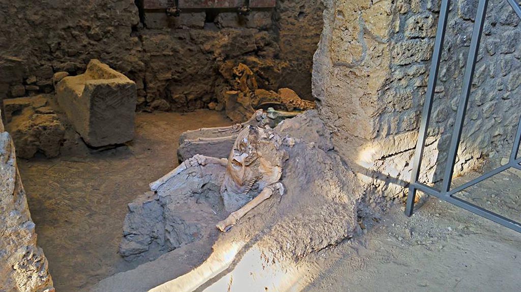 IX.12.8 Pompeii. 2016/2017. 
Skeleton of a mule or donkey, lying in the doorway of the stable “n”. Photo courtesy of Giuseppe Ciaramella.
