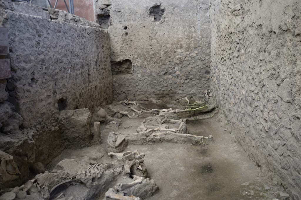 IX.12.8 Pompeii. February 2017. Looking towards north end of stable “n”. Photo courtesy of Johannes Eber.

