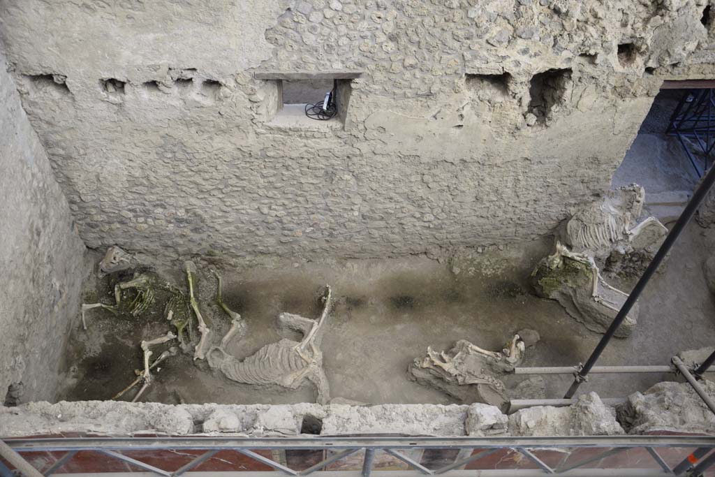 IX.12.8 Pompeii. February 2017. Looking east across stable “n”, from above. Photo courtesy of Johannes Eber.