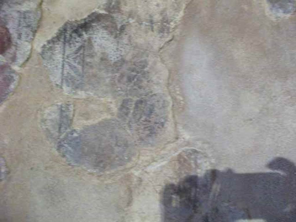 IX.13.1-3 Pompeii. May 2010.  Room 22, west wall, remains of central painting.