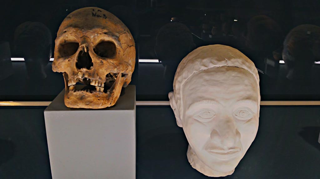IX.13.1/3 Pompeii. December 2019. 
Skeleton of head and reconstructed face of an adult male between 25 and 35 years of age. Photo courtesy of Giuseppe Ciaramella.
