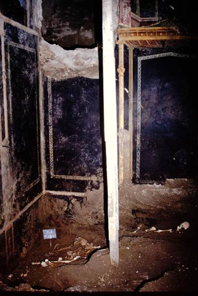 IX.13.1-3 Pompeii. 1974. Room 10, north-west corner. Photo by Stanley A. Jashemski.   
Source: The Wilhelmina and Stanley A. Jashemski archive in the University of Maryland Library, Special Collections (See collection page) and made available under the Creative Commons Attribution-Non Commercial License v.4. See Licence and use details. J74f0861

