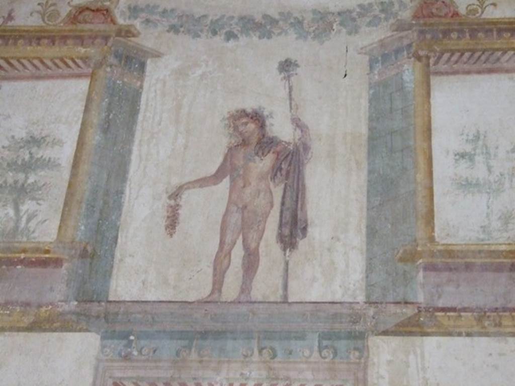 IX.13.1-3 Pompeii. March 2009. Room 11, west wall. Painted figure with staff and bunch of grapes.
Kuivalainen comments 
An almost naked young Bacchus with several attributes, such as the grapes and a thyrsus. 
Grapes seem to be an even more favoured attribute of Bacchus than previously thought. (Note 387  e.g. Michel 1990, 77, presents four cases. See Kuivalainens Concluding  Remarks.)
See Kuivalainen, I., 2021. The Portrayal of Pompeian Bacchus. Commentationes Humanarum Litterarum 140. Helsinki: Finnish Society of Sciences and Letters, (p.98, B7).


