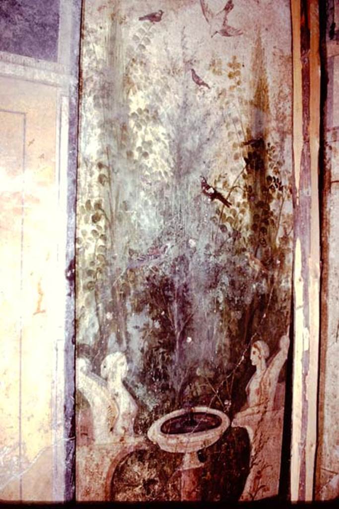 IX.13.1-3 Pompeii, 1978. Room 12, garden painting in north-west corner.  Photo by Stanley A. Jashemski.   
Source: The Wilhelmina and Stanley A. Jashemski archive in the University of Maryland Library, Special Collections (See collection page) and made available under the Creative Commons Attribution-Non Commercial License v.4. See Licence and use details. J78f0543
