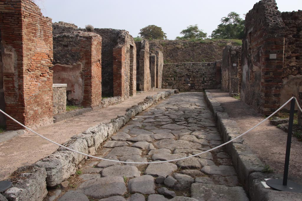 Unnamed vicolo between IX.6 and IX.7, Pompeii. 1977. Looking east along south side of roadway. Photo by Stanley A. Jashemski.   
Source: The Wilhelmina and Stanley A. Jashemski archive in the University of Maryland Library, Special Collections (See collection page) and made available under the Creative Commons Attribution-Non Commercial License v.4. See Licence and use details. J77f0463
