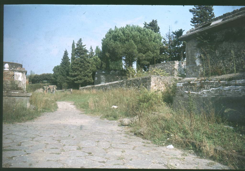 Via delle Tombe, May 2010. 
Looking towards rear of Tomb 22EN, centre right, and towards south side of Via delle Tombe. Photo courtesy of Ivo van der Graaff.
