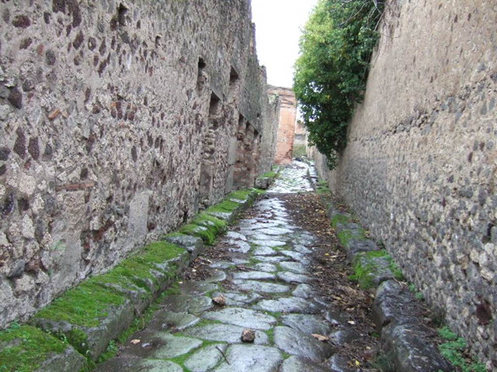 Vicolo degli Scheletri between VII.13 and VII.10. December 2005. Looking west. 
