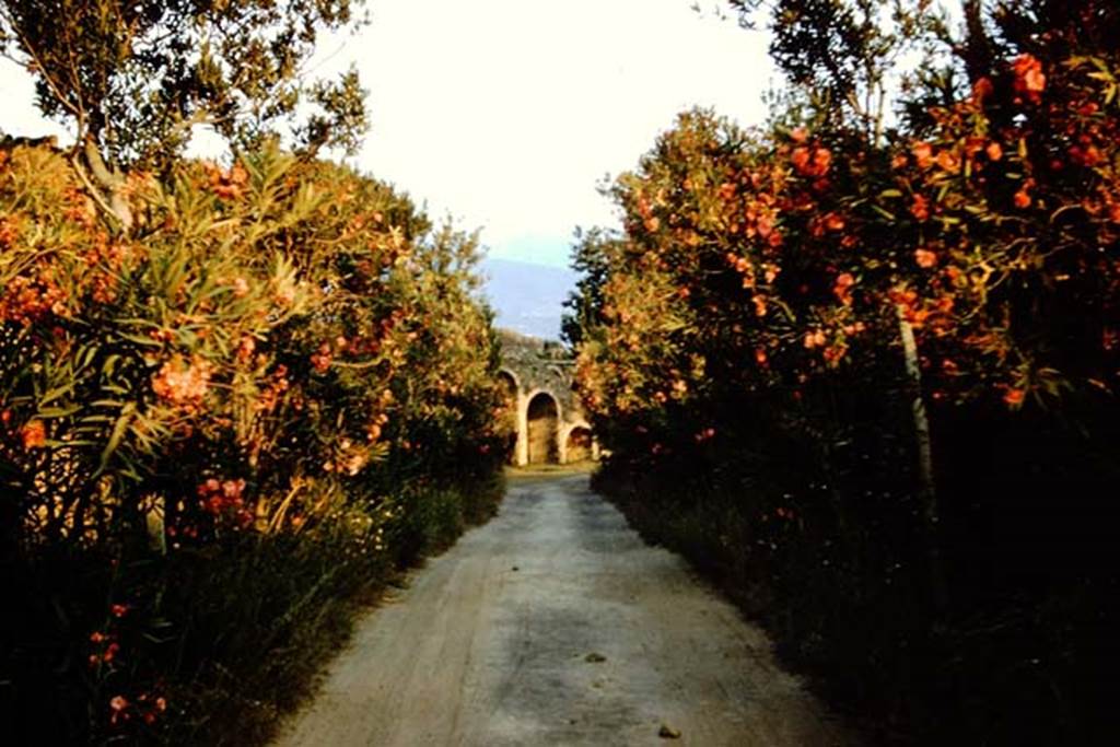 Vicolo dell’Anfiteatro, Pompeii. May 2010. Looking north at junction with Via dell’Abbondanza. Photo courtesy of Ivo van der Graaff.