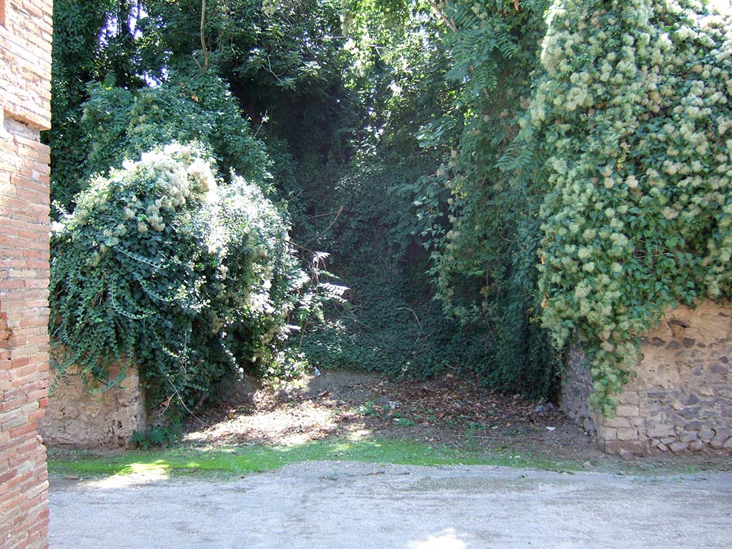 Unexcavated vicolo between I.18 and I.19. September 2005. Looking south. 