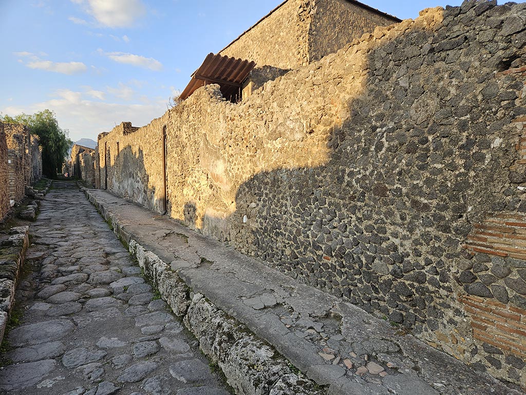 Vicolo della Fullonica, Pompeii. May 2010. Looking north between VI.6 and VI.8. Photo courtesy of Ivo van der Graaff.