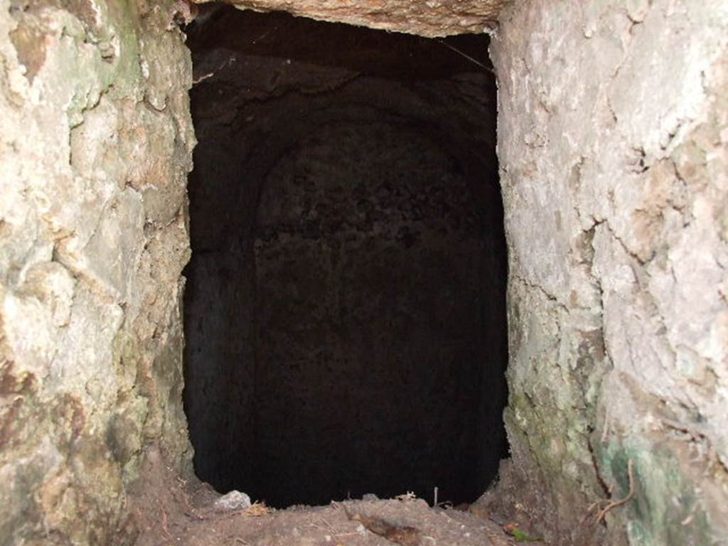 HGE43 Pompeii. December 2006. Looking inside through upper opening in east side of tomb.  