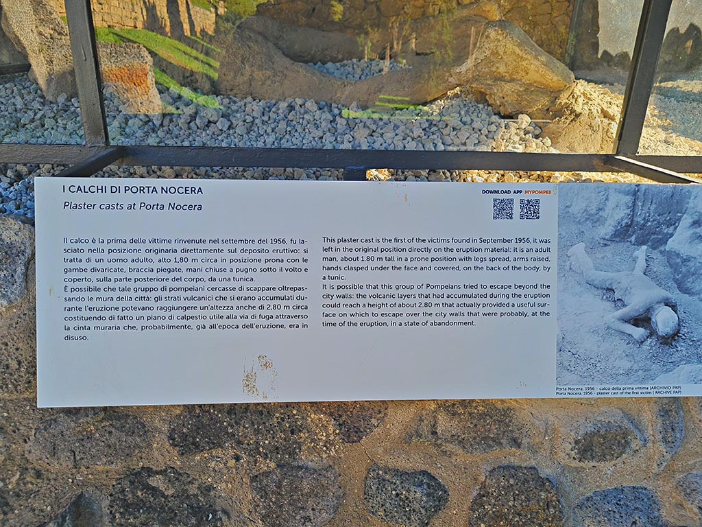 North-west side of Via delle Tombe. October 2024. 
Information card on first of victims found in September 1956 and left in his original position directly on the eruption material. Photo courtesy of Giuseppe Ciaramella.

