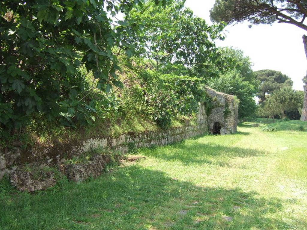T7 Pompeii. May 2006. Looking west along the city walls towards Tower VII.