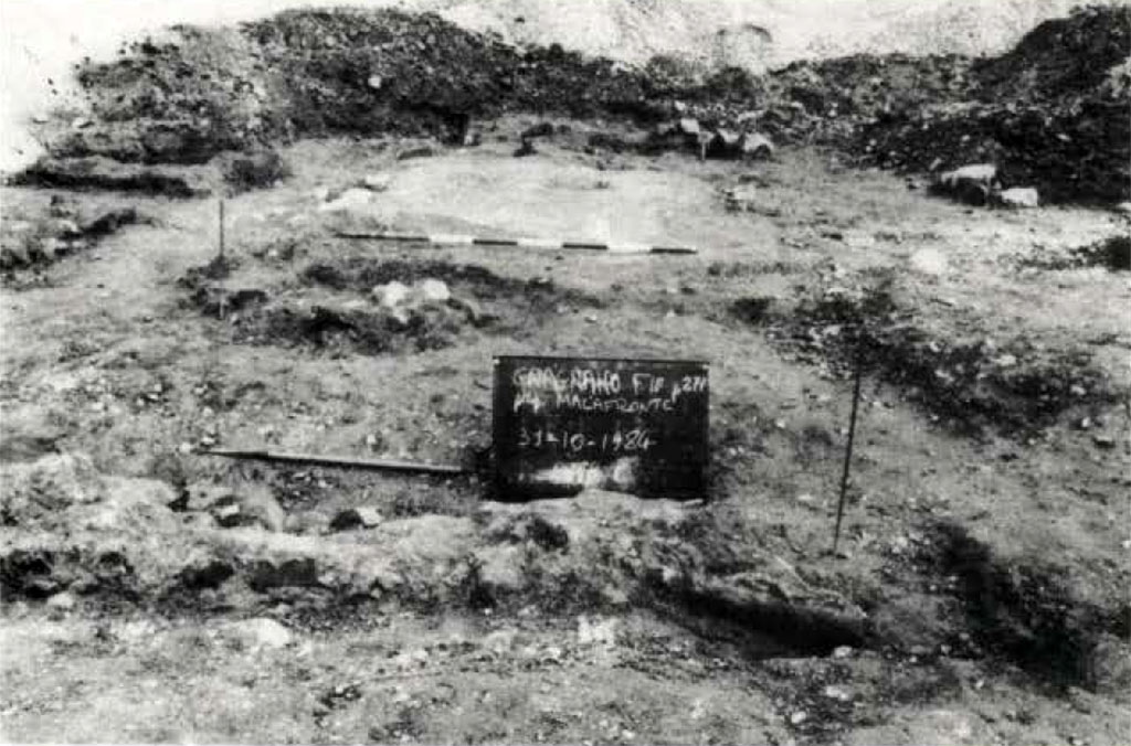 Gragnano proprietà Malafronte. 1984. Fig. 2. Particolare dello strato di abbandono.
Gragnano proprietà Malafronte. 1984. Fig. 2. Detail of the abandonment layer.
Vedi/See Miniero P., Di Giovanni V., Gasperetti, G. Insediamenti di età repubblicana nell' ager Stabianus in Rivista di Studi Pompeiani V, 1991-2, p 20 fig. 2.